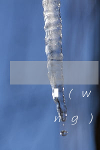 網(wǎng)貸被起訴如何查詢，網(wǎng)貸被起訴？教你如何查詢案件進展！